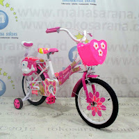 Sepeda Anak Erminio 2209