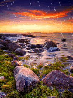 nature_aaddy4dq