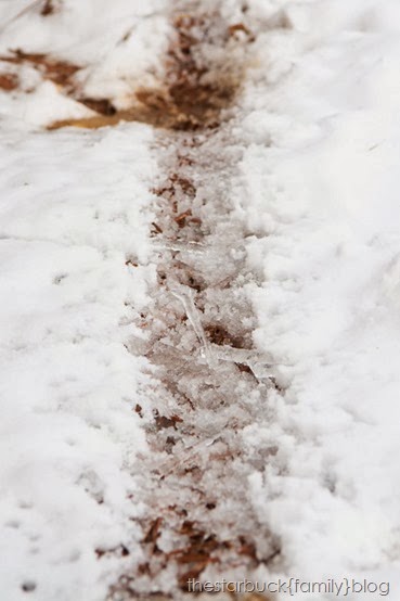 January Snow day blog-20