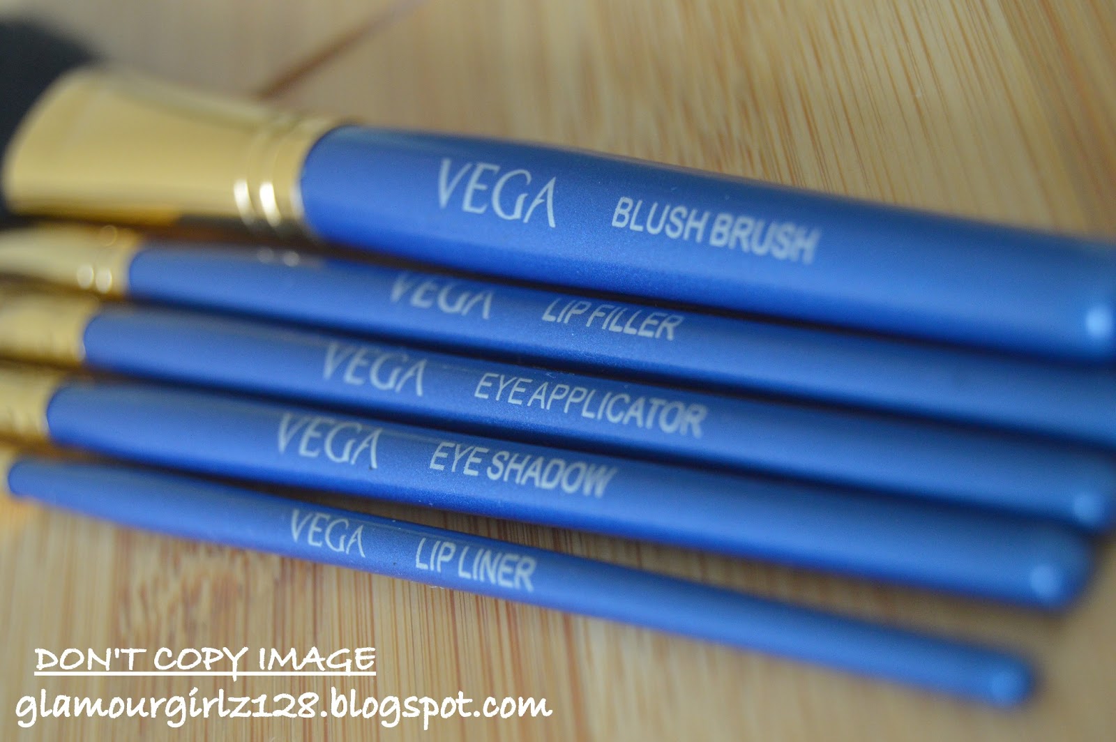 Vega makeup brushes kit