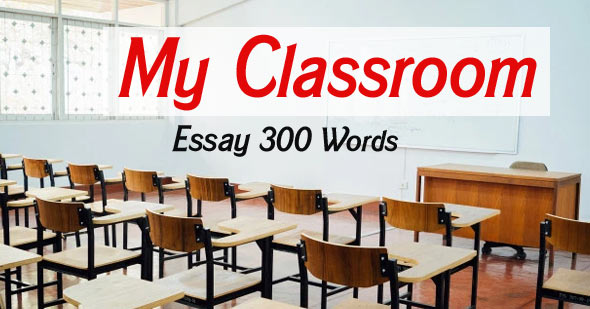 My Classroom Essay