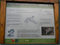 DSCN4272