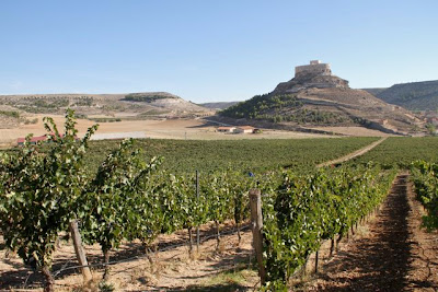 Ribera del Duero, tierras de Bodegas Comenge. Blog Esteban Capdevila