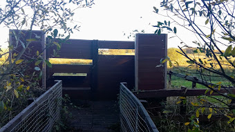 Goose Hill hide