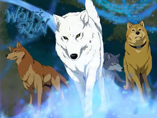 white wolf anime wallpaper wolve