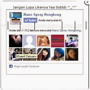 Cara, Memasang, Like, Facebook, Dan, Twitter, Follow, Button, Melayang, Di, Blog