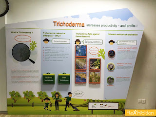 Trichoderma บอร์ดนิทรรศการ