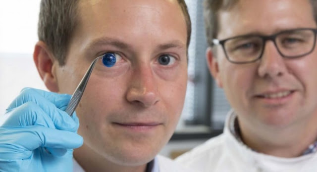 Dr. Steve Swioklo and Professor Che Connon with a dyed cornea.