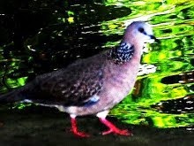 My photo