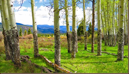 South Fork13-28 May 2016