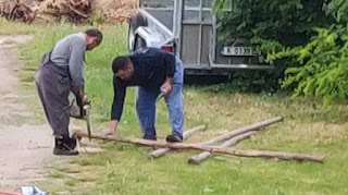 Cutting old roofing beams to size