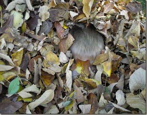 october2011 124