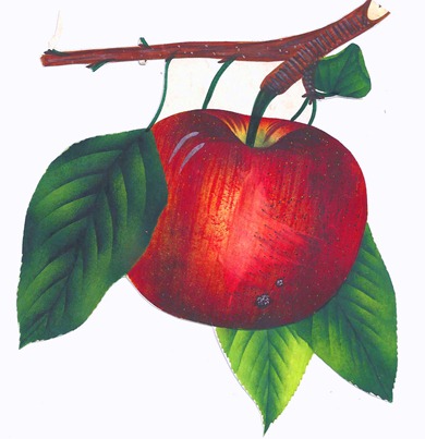 apple