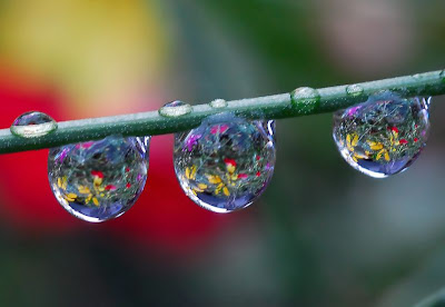 rain drops images