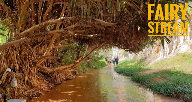 FAIRY STREAM MU NEI VIETNAM