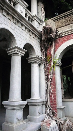 P1060996