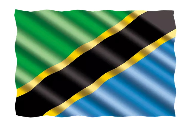 Tanzania Flag