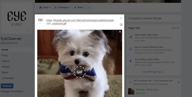 How to post a gif to Facebook