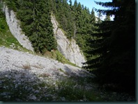 DSCN7726