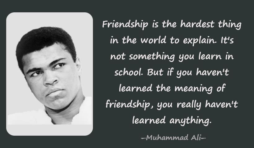 Friendship is the hardest thing in the world to explain. It's not something you learn in school. But if you haven't learned the meaning of friendship, you really haven't learned anything. ― Muhammad Ali