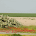 بئر لبسبع - معين ابوستة