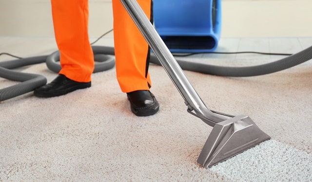 how to start a carpet cleaning business startup cleaner company