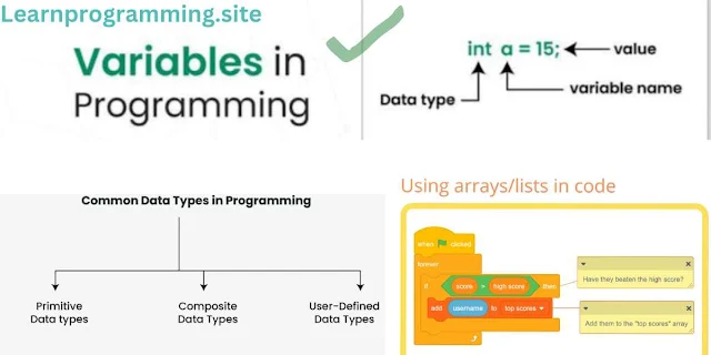 Variables, Data Types , Arrays and List in programming