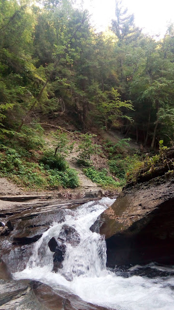 The stream bed at stonybrook park, pine trees in the background, a small cascade of cold water up front. 