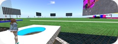 Tvd_20090205a_003