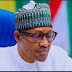 Buhari plans to leave petrol subsidy removal decision for next govt