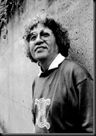 shotaro ishinomori