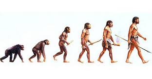 Crapouillotage La Prehistoire L Evolution De L Homme