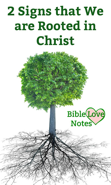 Christians with "roots" are easy to recognize. This 1-minute devotion explains.