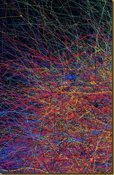 axons and dendrites