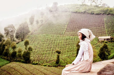 Yuk Berwisata Ke Kota "Pisang" Lumajang