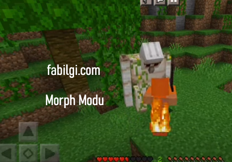 Minecraft PE 1.20 Morph Modu Güncel Link Sorunsuz İndir 2023