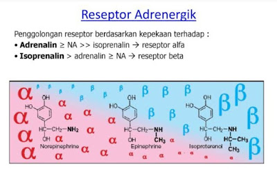 Reseptor Adrenergik