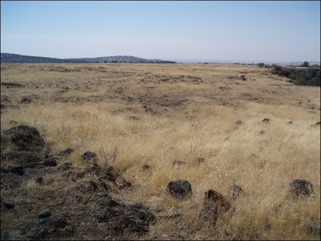 28TableMtn08_2006