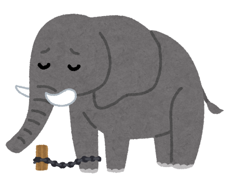 捕まった象のイラスト かわいいフリー素材集 いらすとや 捕まった象のイラスト かわいいフリー素材集 いらすとや