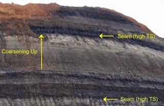 Kenampakan Sekuen Batubara
