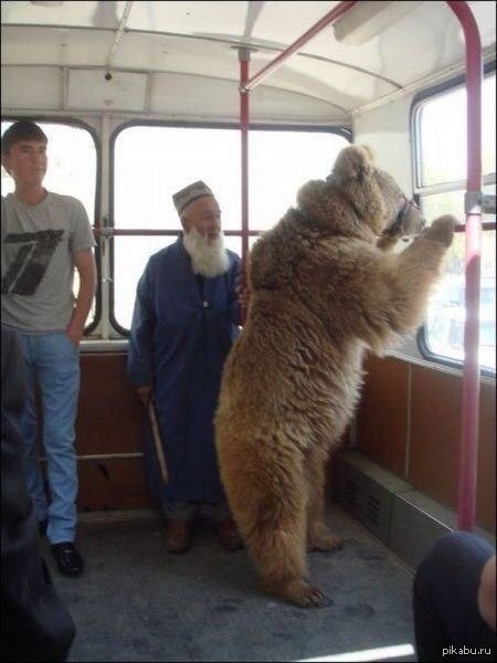 In soviet russia, you eat bear 
