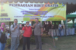 Pembagian Bibit GRATIS Untuk Masyarakat Bondowoso Oleh Dinas Kehutanan Wilayah Jember 