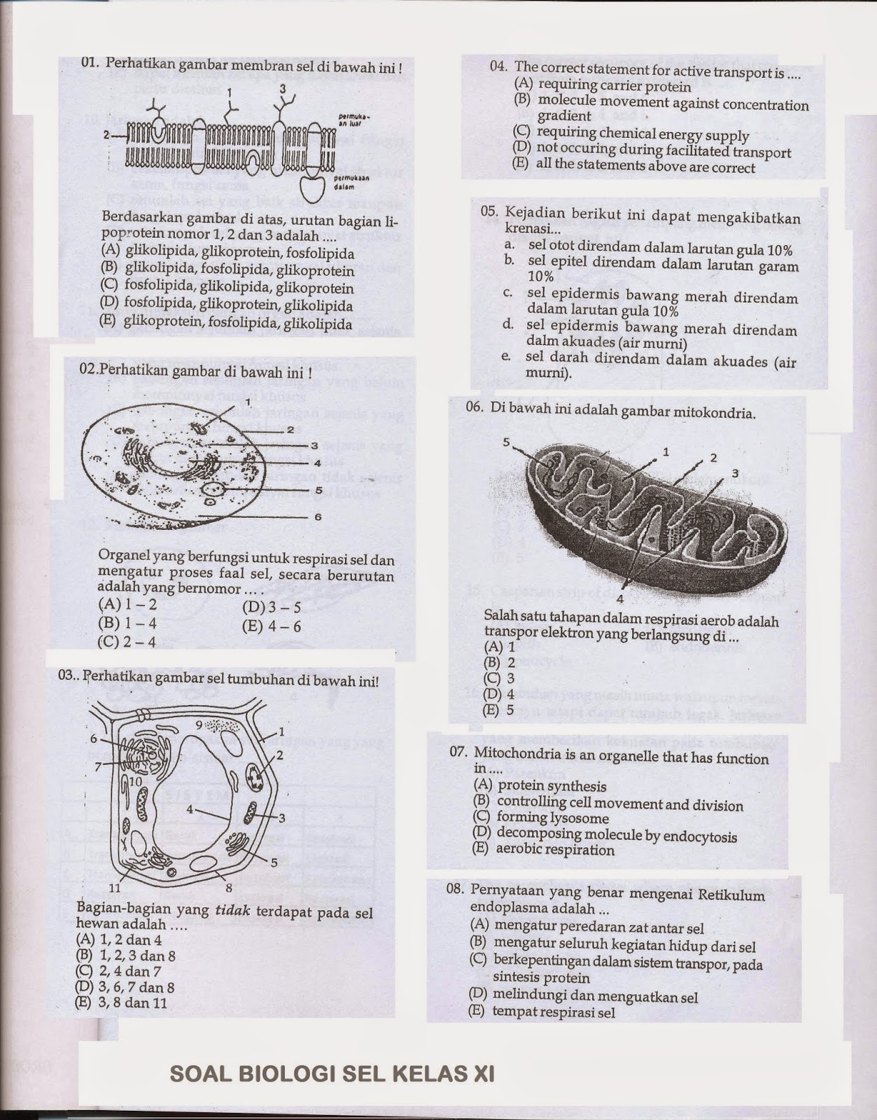 Silahkan dibaca untuk ujian mid semester 1 kelas XI ini sebagai Review materi belajarmu Jika bisa lumayan dah kemampuan bacamu hehehe