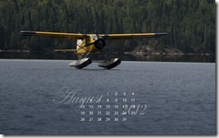 2012-08-beaver