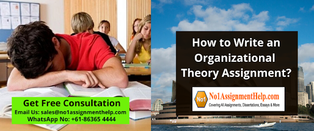 How to Write an Organizational Theory Assignment?