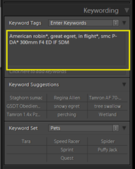 KeywordPanel-Keywords