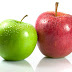 Weight Loss Program and Fast with Apples