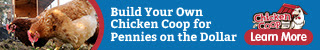 chicken coop design plans