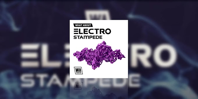 Electro Stampede by WA Production Gratis por tiempo limitado