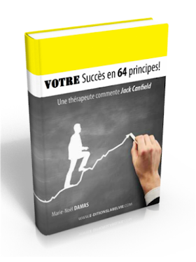 Votre succès en 64 principes - eBook - Formation 